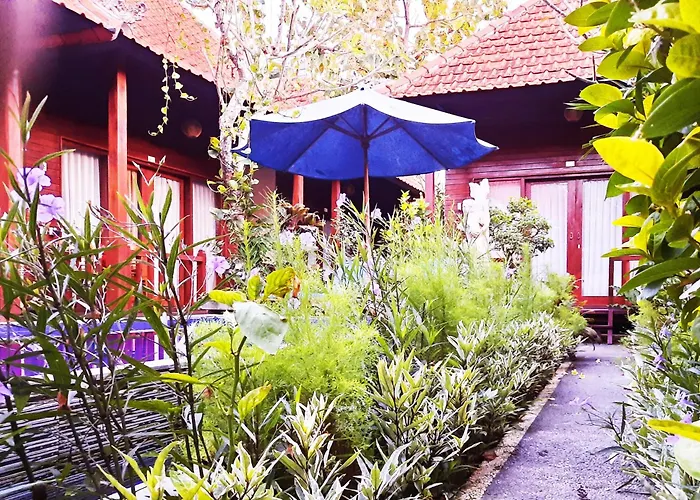 Pensión Wait Garden